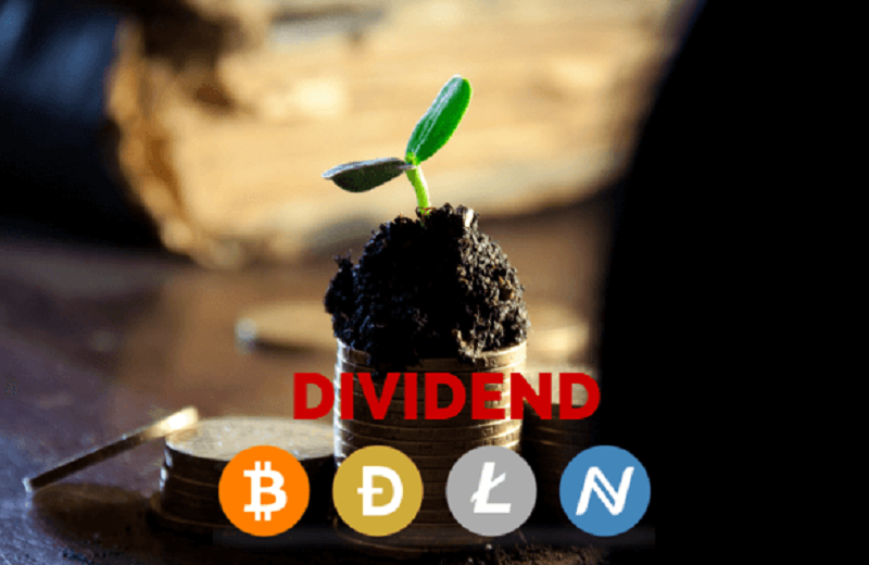 Smart Contract Dividend Platform – What should you know?