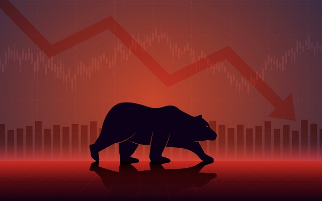 Where to Invest during a Bear Market