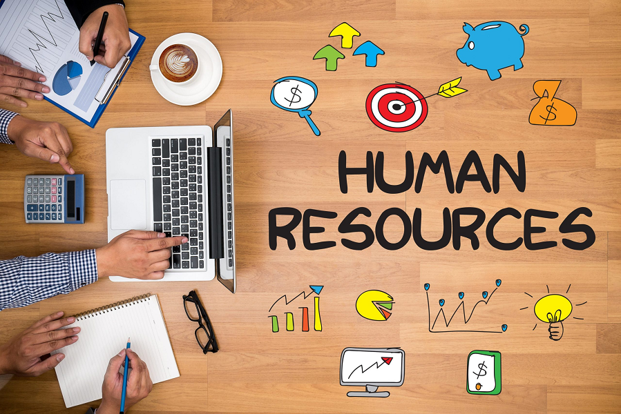 Bring in Productivity with HR Software