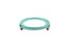 MTP Trunk Cable